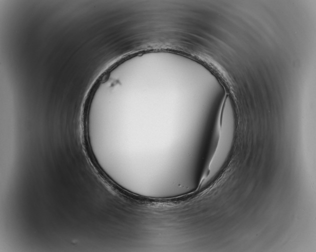 X0000096390894200802211139