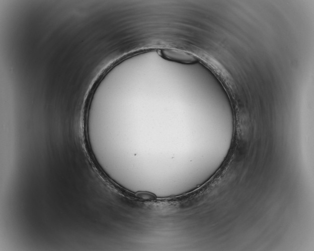 X0000096390896200802211139
