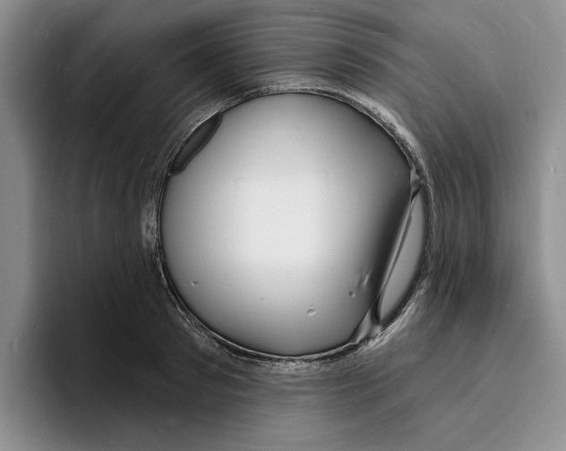 X0000096390897200802211139