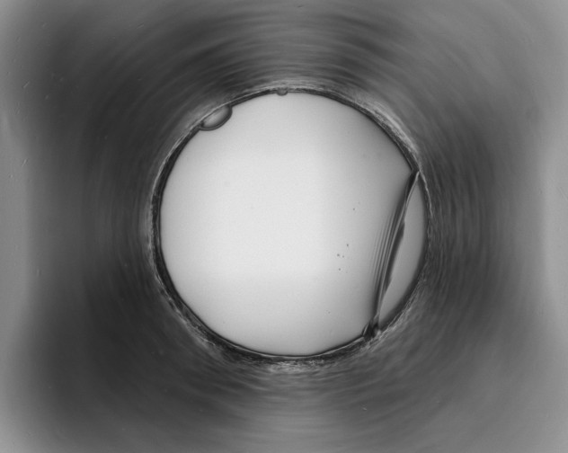 X0000096390898200802211139