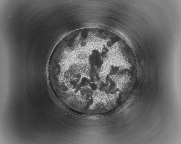 X0000096390899200802211139