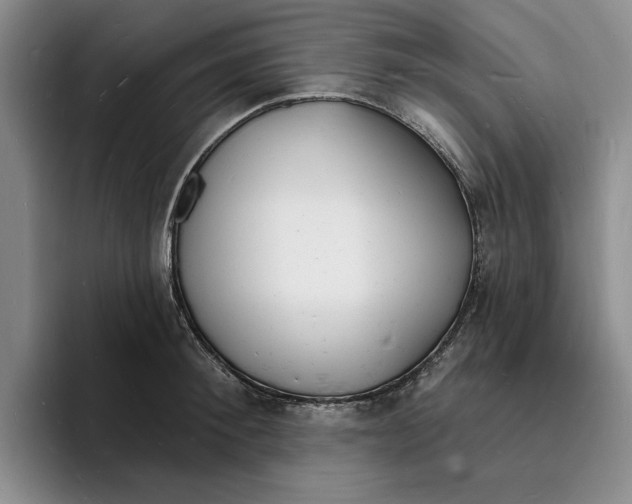X0000096390900200802211139