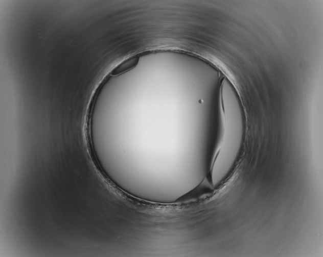 X0000096390901200802211139