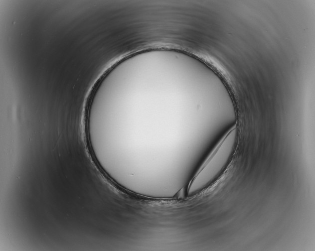 X0000096390902200802211139