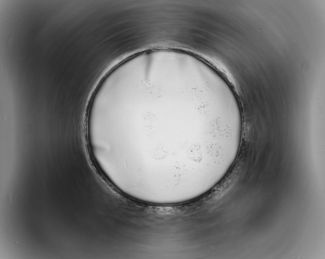 X0000096390903200802211139