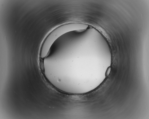 X0000096390904200802211139
