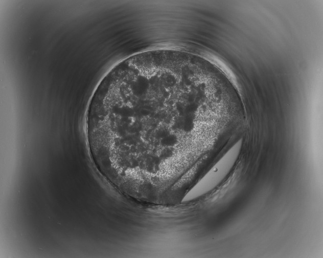 X0000096390907200802211139
