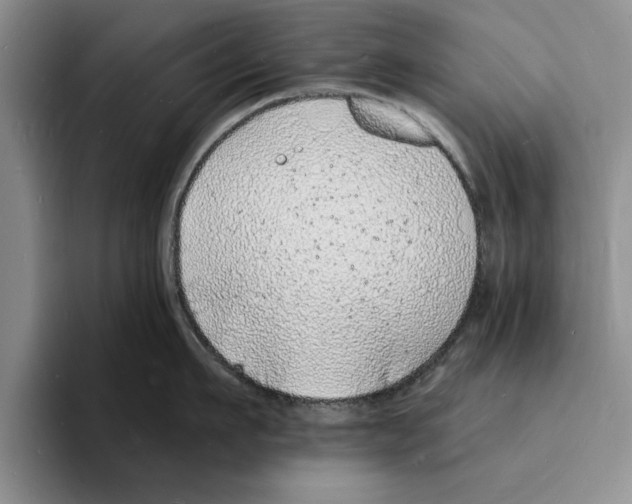 X0000096390911200802211139