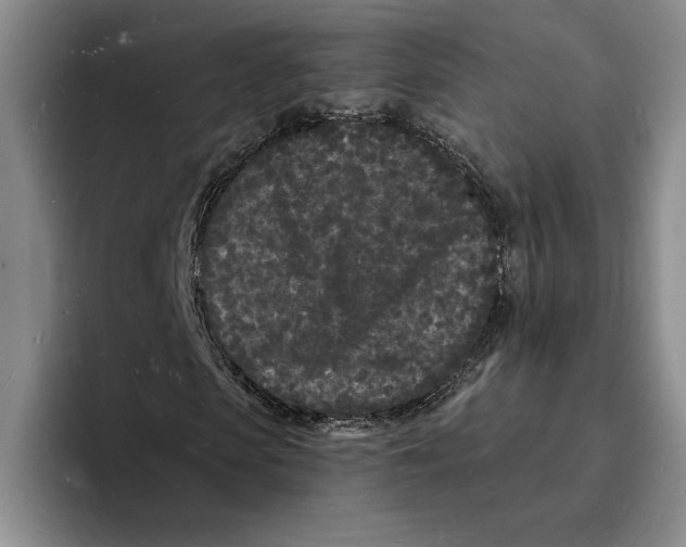 X0000096390913200802211138