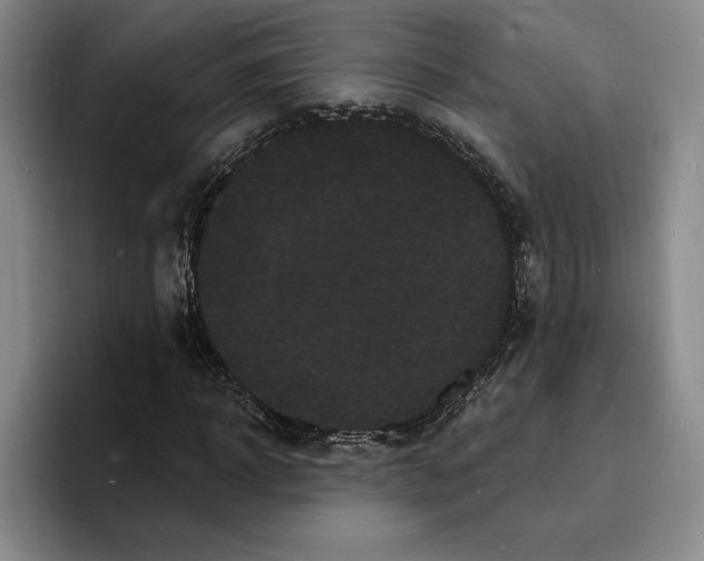 X0000096390918200802211138