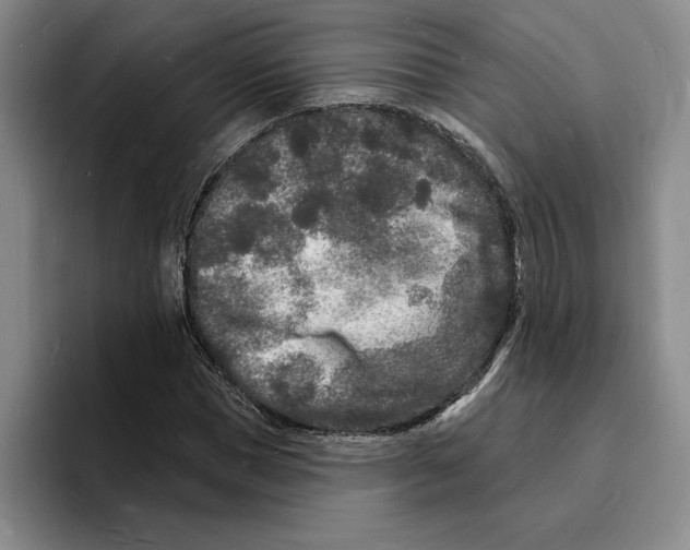 X0000096390921200802211138