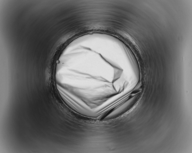 X0000096390922200802211138