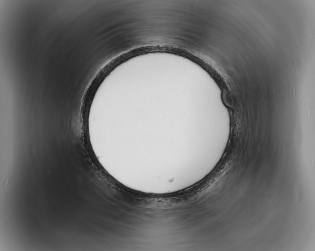 X0000096390927200802211139