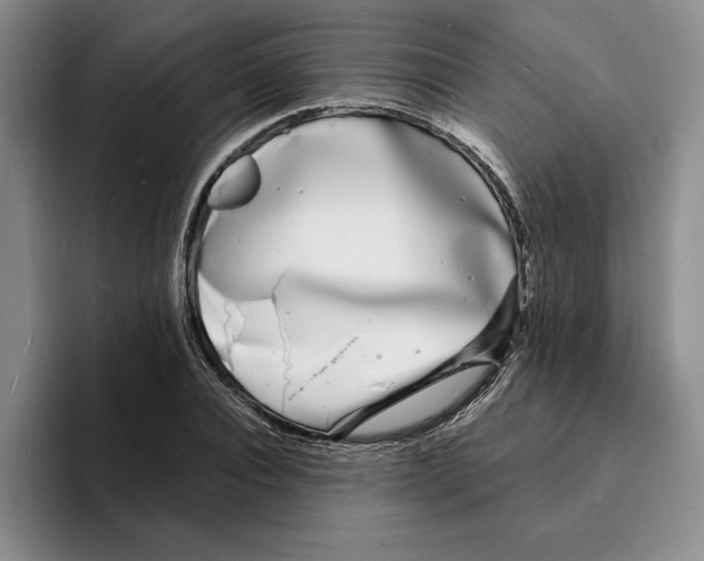 X0000096390928200802211139