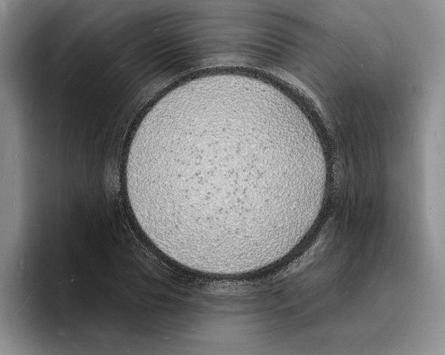 X0000096390929200802211139