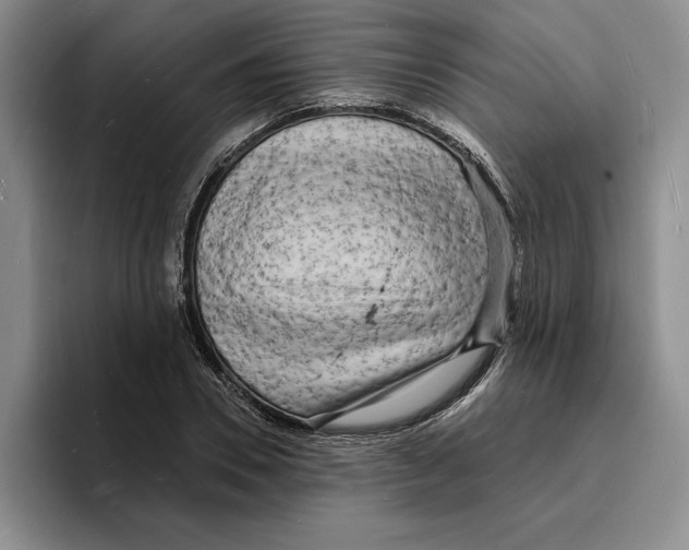 X0000096390930200802211139