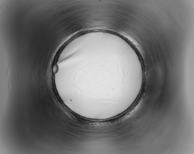 X0000096390933200802211139