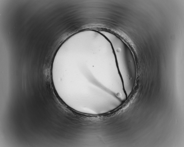 X0000096390937200802211139
