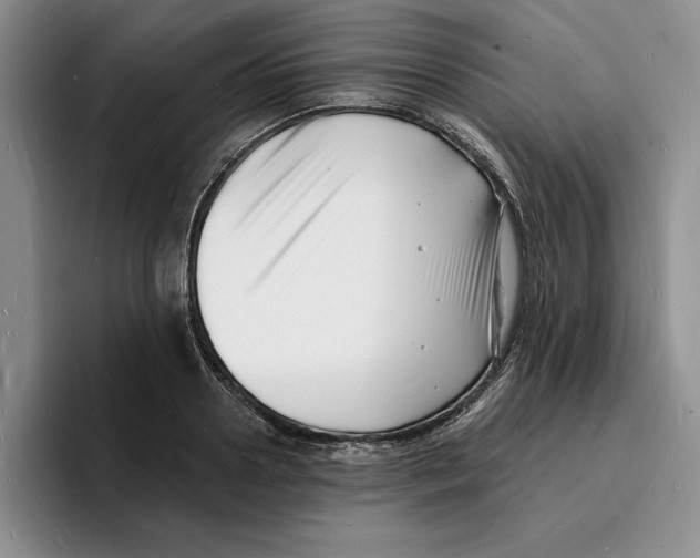X0000096390938200802211139