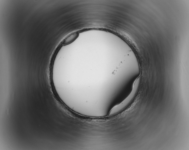 X0000096390942200802211139