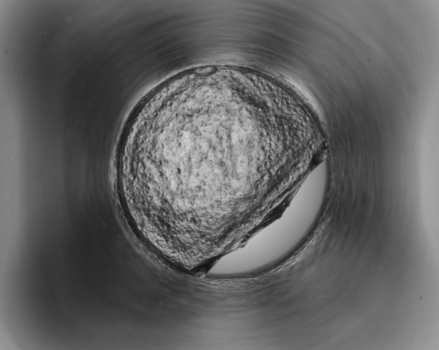 X0000096390944200802211139