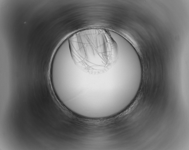 X0000096390948200802211139