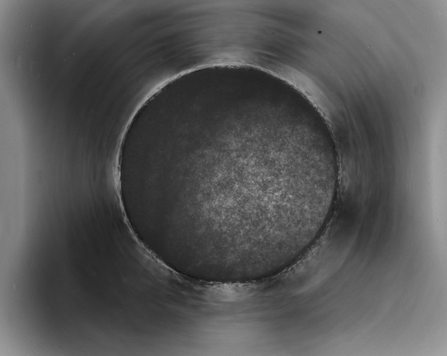 X0000096390950200802211139
