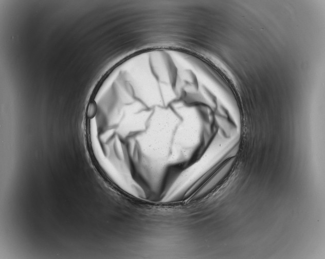 X0000096390951200802211139