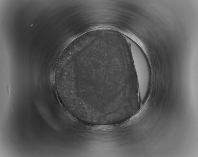 X0000096390953200802211139