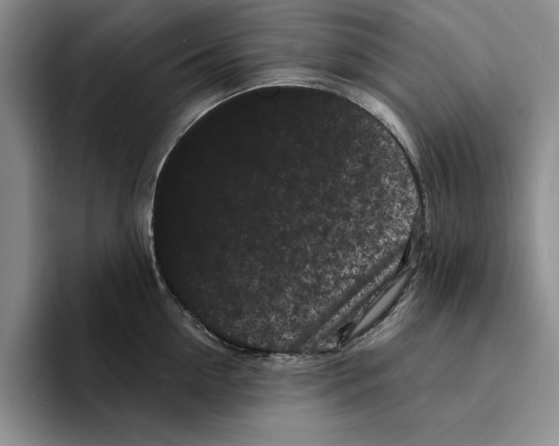 X0000096390954200802211139