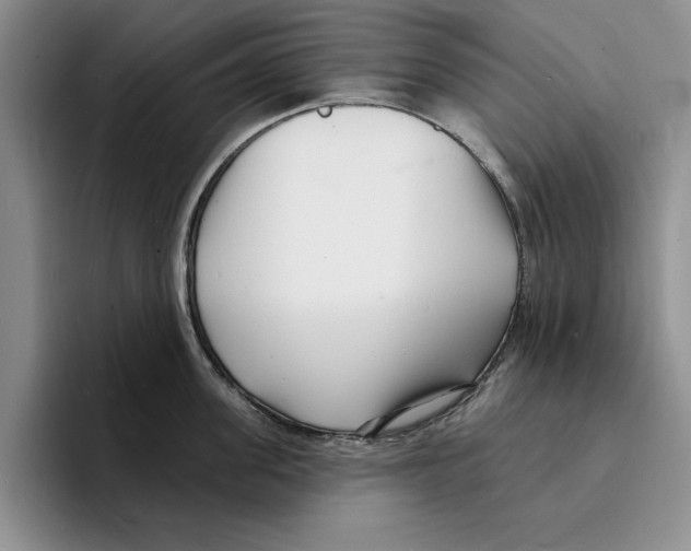 X0000096390955200802211139