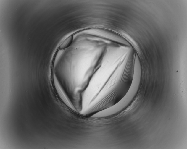 X0000096390956200802211139