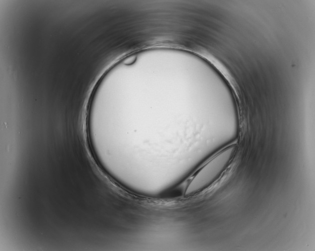 X0000096390957200802211139