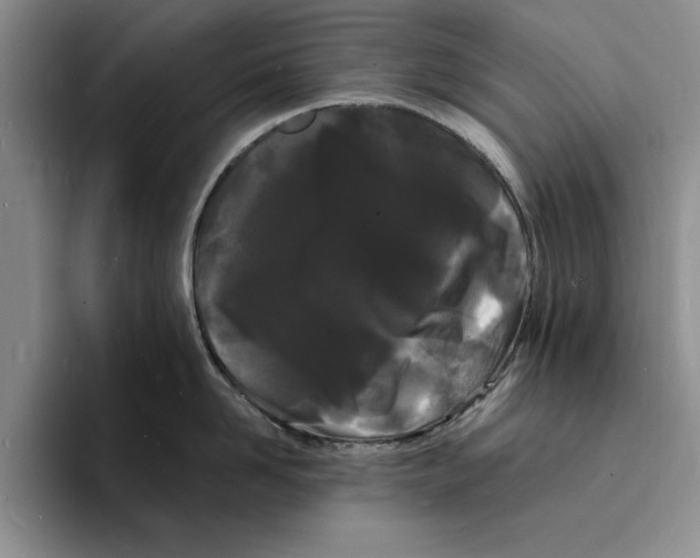 X0000096390958200802211139