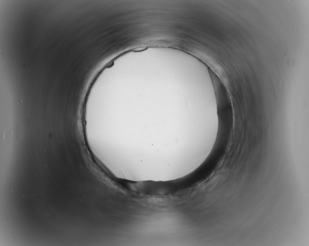 X0000096390960200802211139
