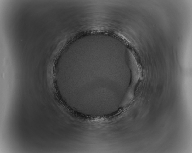 X0000096390961200802211138