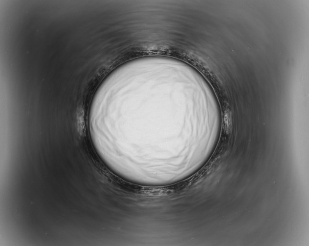 X0000096390963200802211138