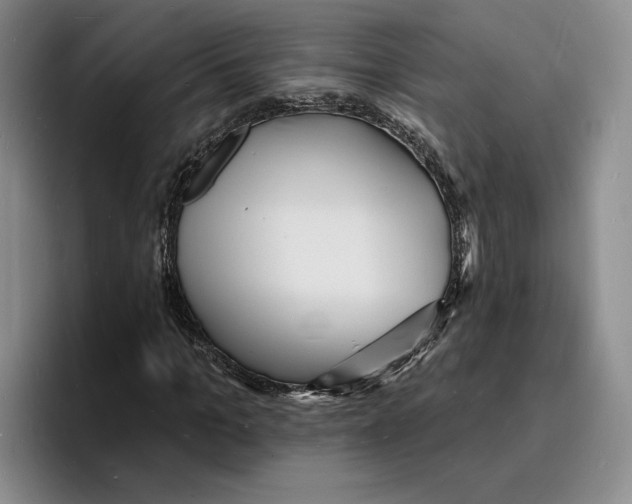 X0000096390965200802211138