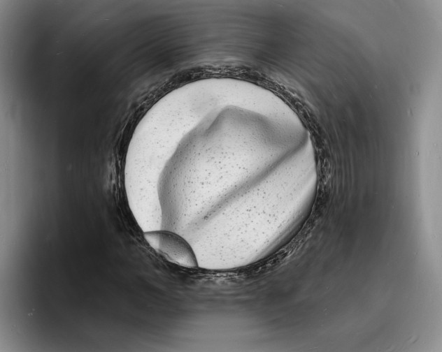 X0000096390966200802211138