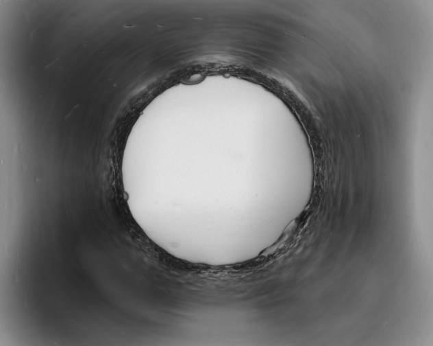 X0000096390967200802211138
