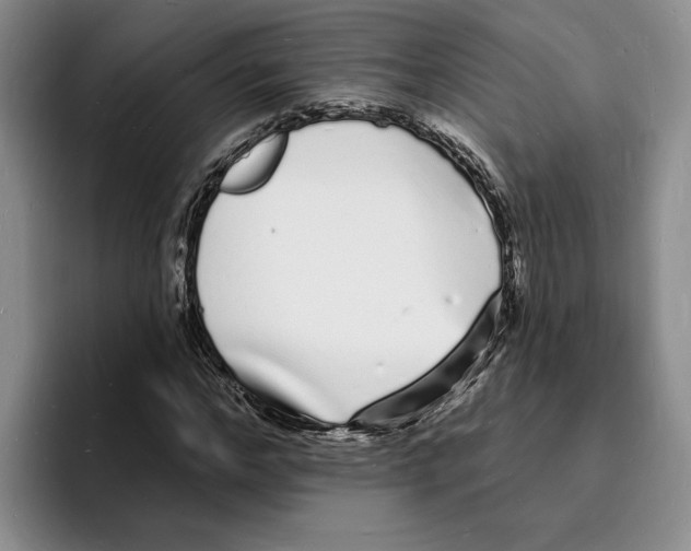 X0000096390968200802211138