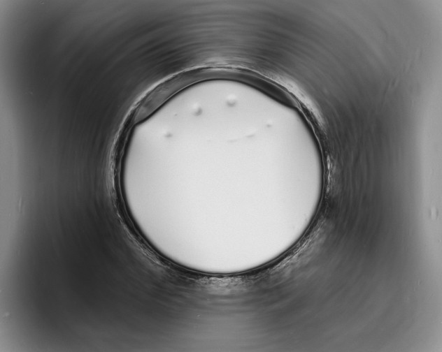X0000096390972200802211138