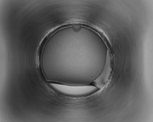 X0000096390973200802211138