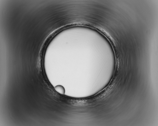 X0000096390975200802211138