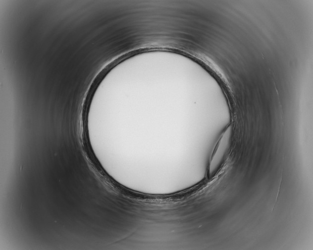X0000096390980200802211138