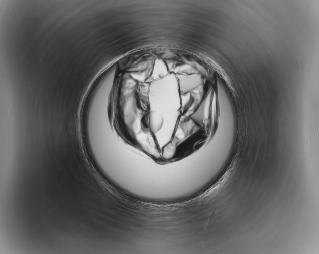 X0000096390981200802211138