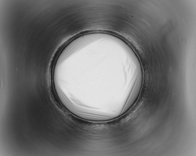 X0000096390982200802211138