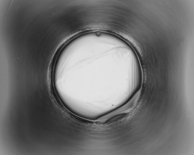 X0000096390983200802211138