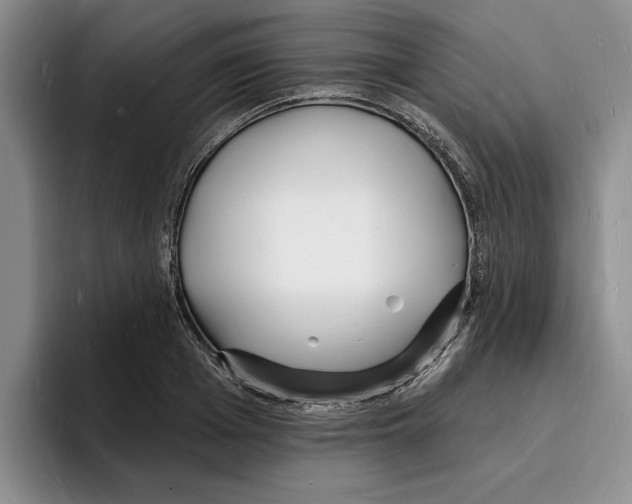 X0000096390985200802211138