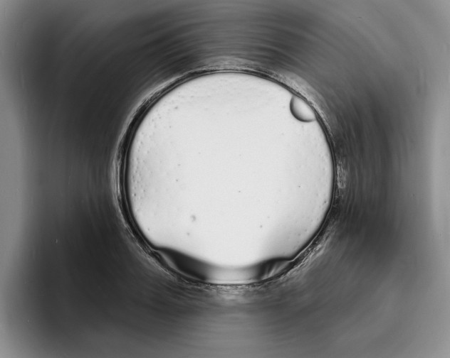 X0000096390987200802211138